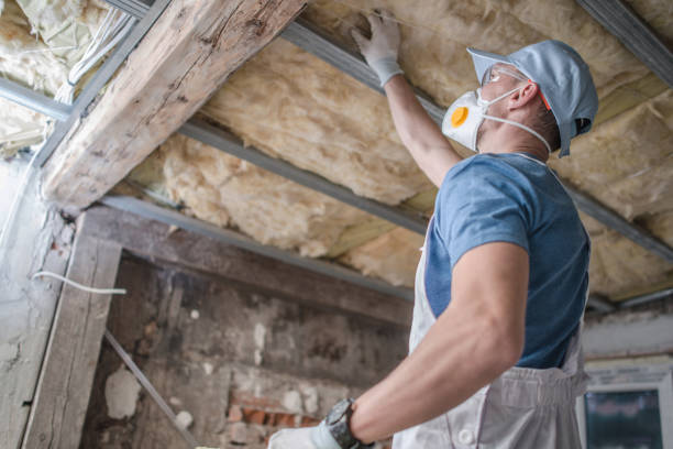 Best Wall Insulation Contractor  in Concord, MO
