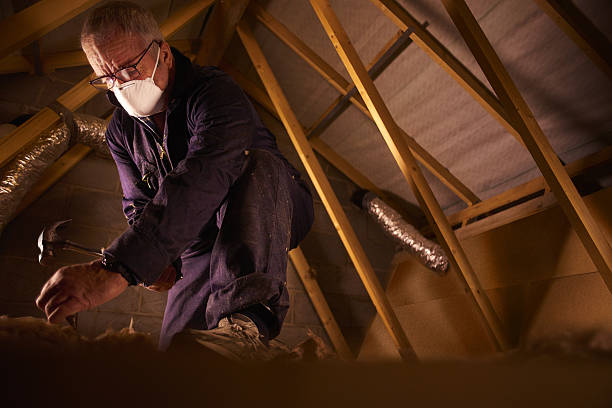 Best Professional Insulation Contractor  in Concord, MO
